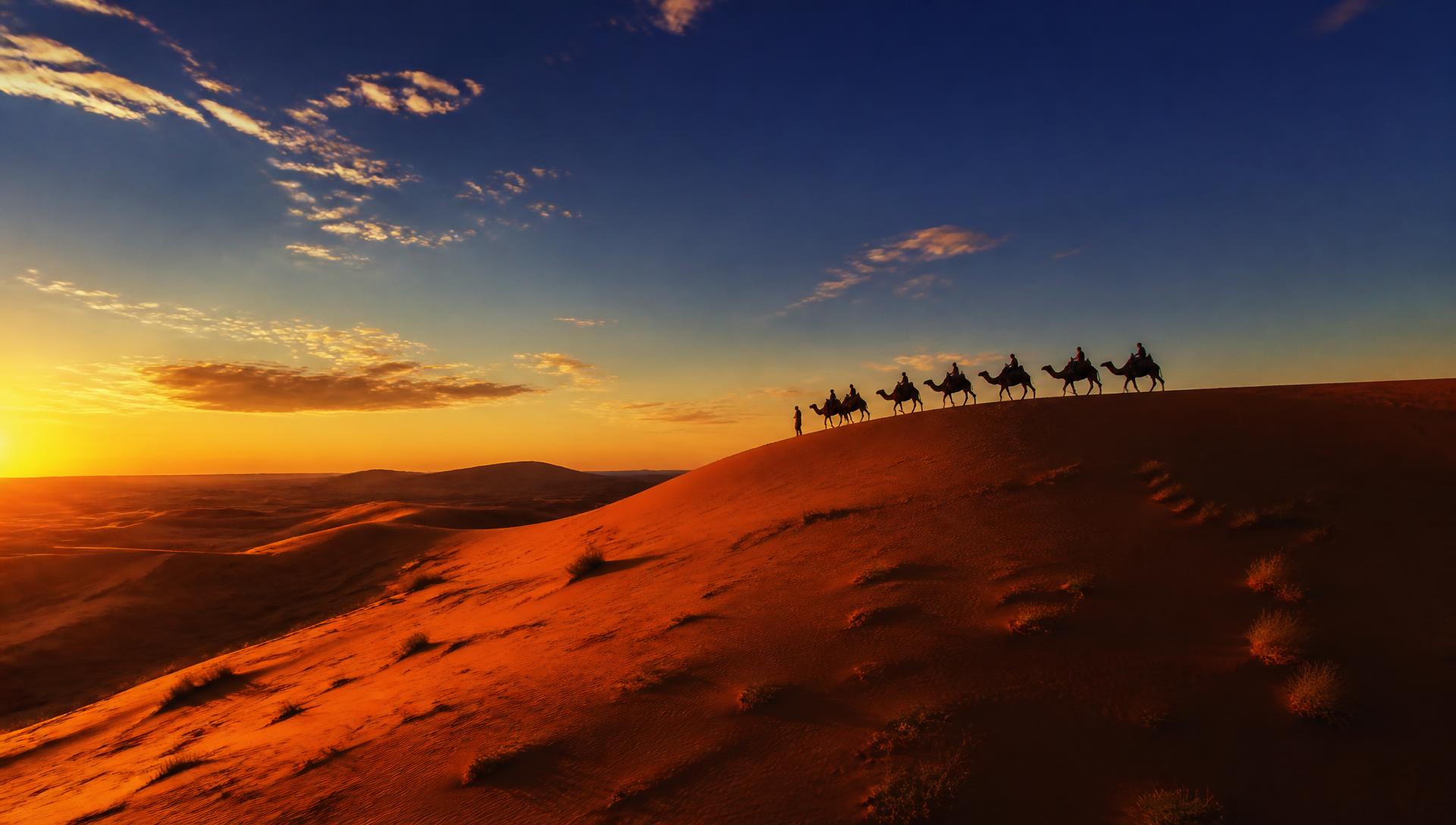 Caravane de dromadaires sur les dunes du Sahara au coucher du soleil